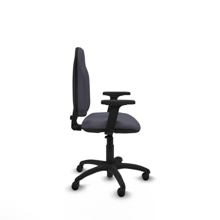 Algarra CP bali gris oscuro brazos 2D base poliamida ruedas autofrenantes 50mm