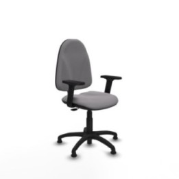 Algarra CP similpiel gris brazos 2D base poliamida topes