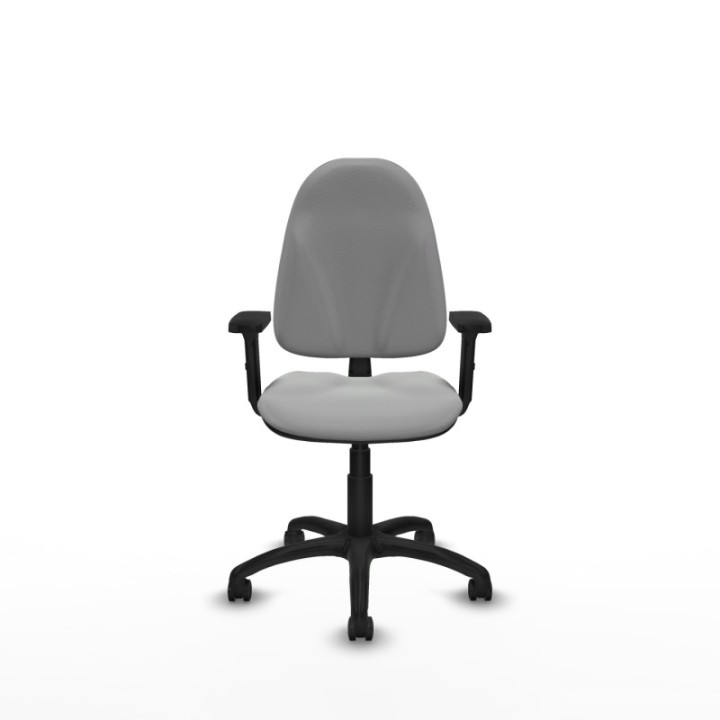 Algarra CP similpiel gris claro brazos 2D base poliamida ruedas autofrenantes 50mm