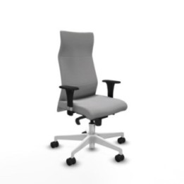 Albacete dirección sincro bali gris claro brazos 1D cromados base blanca ruedas 65 nailon