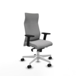 Albacete dirección sincro bali gris claro brazos 2D base blanca ruedas 65 nailon