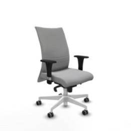 Albacete confidente XL sincro bali gris claro brazos 1D cromados base blanca ruedas 65mm engomadas